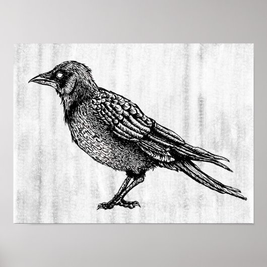 Raven Gothic Black en White Horror Ink Tekening Poster (Voorkant)