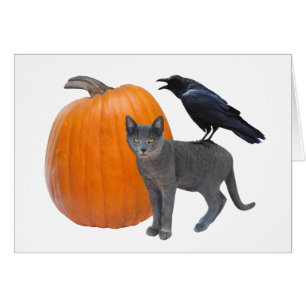 Raven, grijs katje met pompoen-halloween-kaart