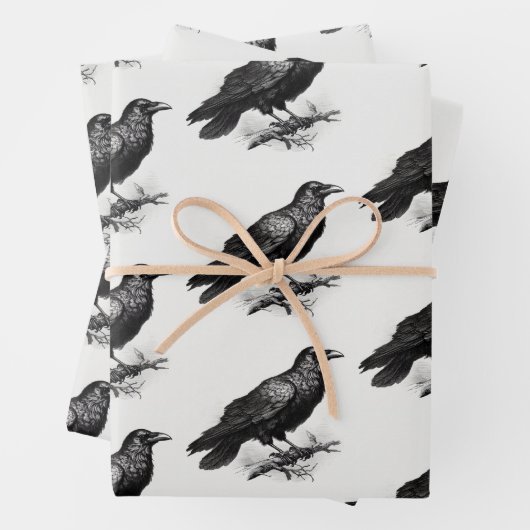 Raven Illustratie Inpakpapier Vel (In situ)