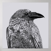 Raven Illustration Poster (Voorkant)