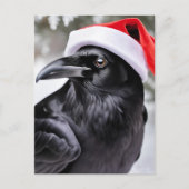 Raven in een kerstmuts briefkaart (Voorkant)