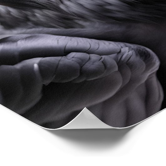 Raven in een kerstmuts poster (Hoek)