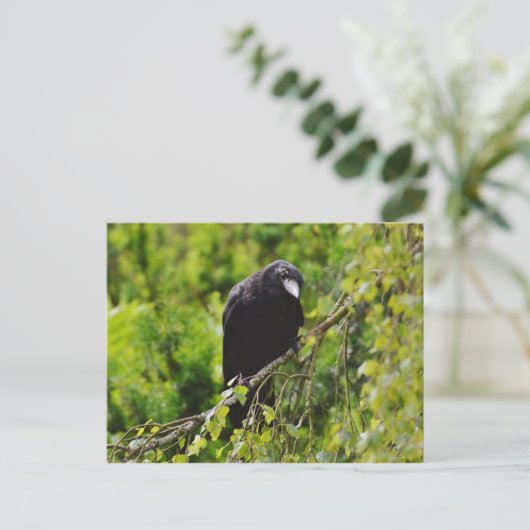Raven in het Briefkaart van de bomen (Staand voorkant)