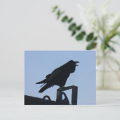 Raven in Silhouette, Unalaska Island Briefkaart (Staand voorkant)