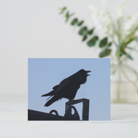 Raven in Silhouette, Unalaska Island Briefkaart (Staand voorkant)