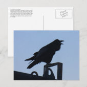 Raven in Silhouette, Unalaska Island Briefkaart (Voorkant / Achterkant)