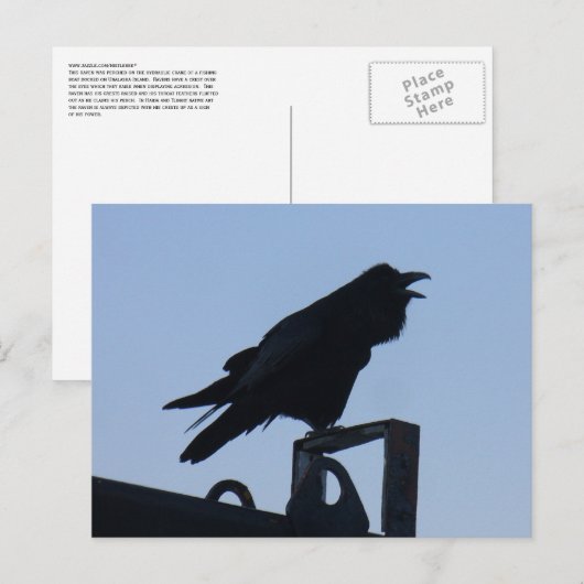 Raven in Silhouette, Unalaska Island Briefkaart (Voorkant / Achterkant)