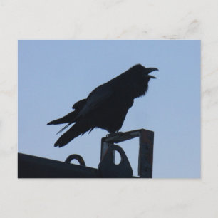 Raven in Silhouette, Unalaska Island Briefkaart