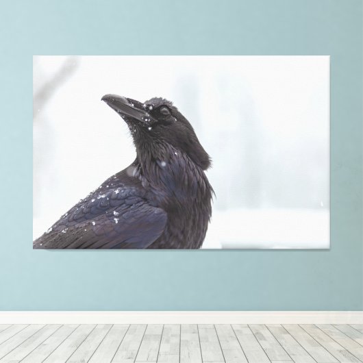 Raven in Snow Canvas Afdruk (Insitu (Houten vloer))