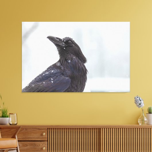 Raven in Snow Canvas Afdruk (Insitu (Woonkamer))