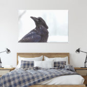 Raven in Snow Canvas Afdruk (Insitu (Slaapkamer))