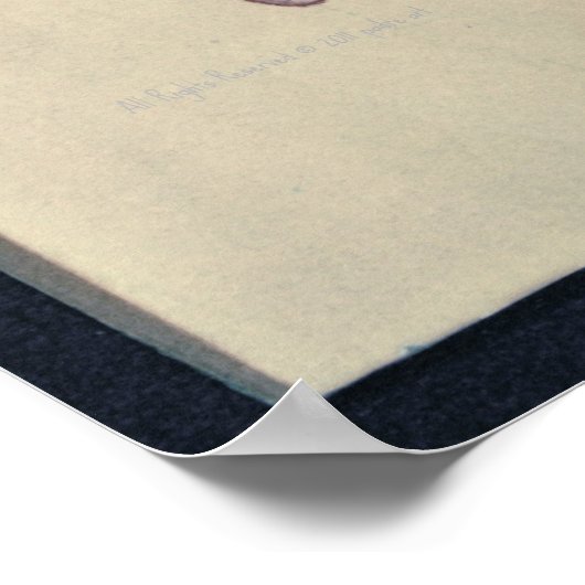 Raven in Snow Poster (Hoek)