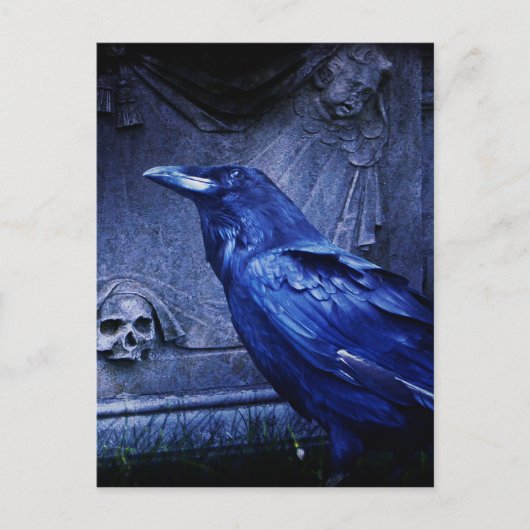 Raven in Tombstone Briefkaart (Voorkant)