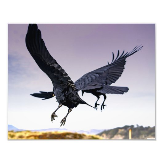 Raven is onderweg en fotoafdrukken foto afdruk (Voorkant)