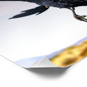 Raven is onderweg en fotoafdrukken foto afdruk (Hoek)