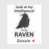 Raven kijk naar mijn intelligentie Raven Sticker (Vel)