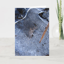 Raven kijkt goed, Black Corvid Verhalen in Natuur Kaart