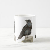 Raven Koffiemok (Center)