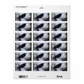 Raven Labels (Full Sheet)