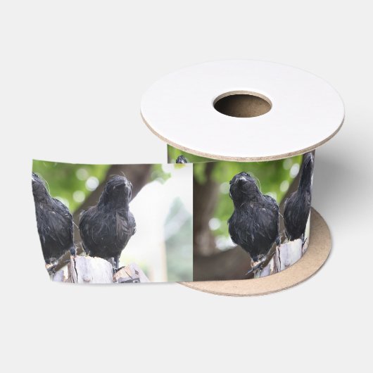 Raven-lint Satijnen Lint (Spoel)