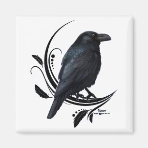 Raven Magneet