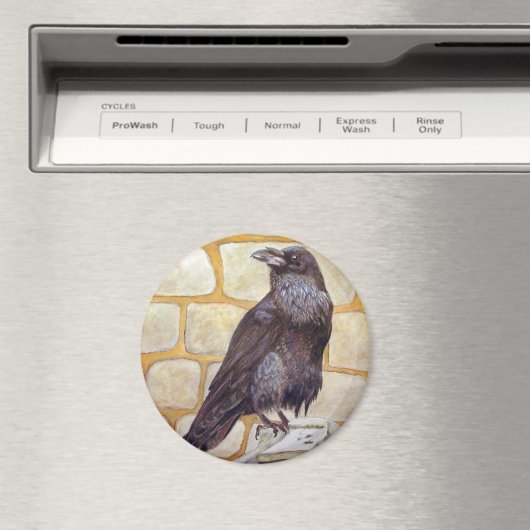 Raven Magneet (Insitu (Vaatwasser))
