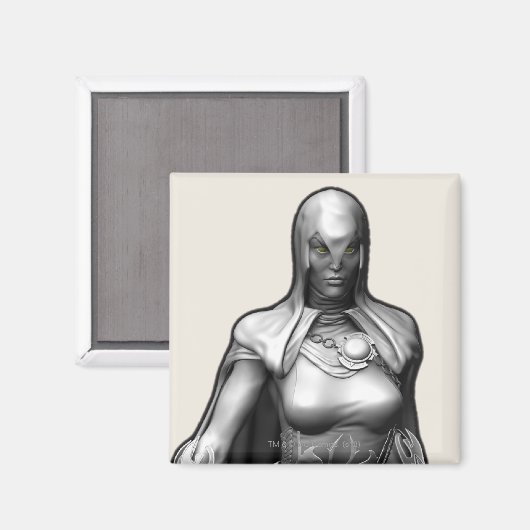 Raven Magneet (Voorkant / Achterkant)