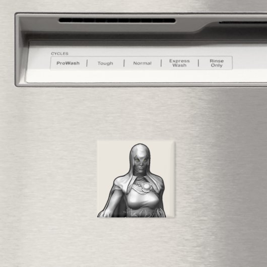 Raven Magneet (Insitu (Vaatwasser))