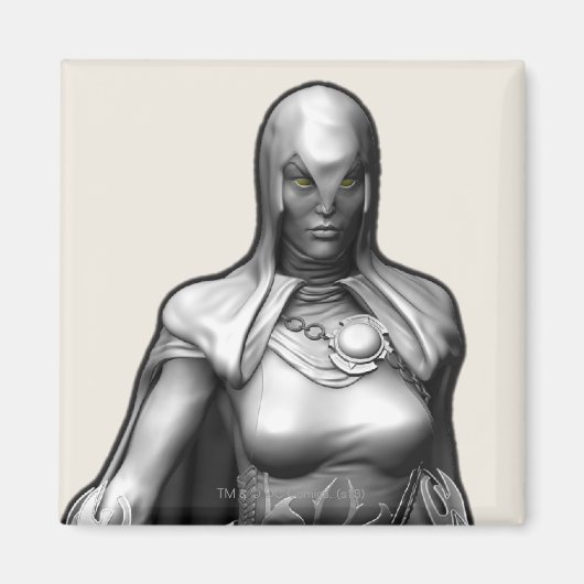 Raven Magneet (Voorkant)