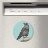 Raven Magneet (Insitu (Vaatwasser))
