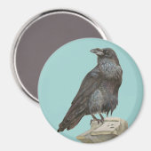 Raven Magneet (Voorkant / Achterkant)