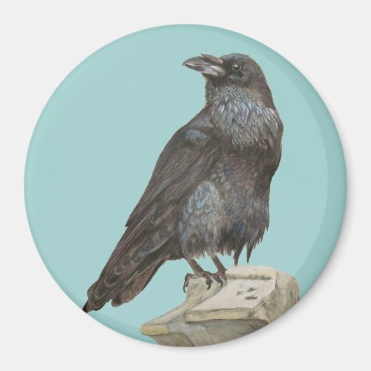 Raven Magneet (Voorkant)