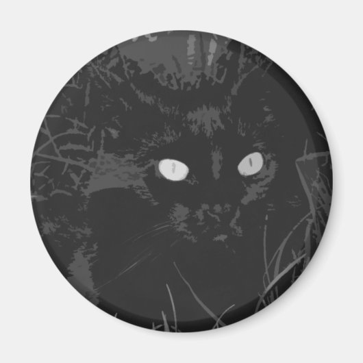 raven magneet (Voorkant)