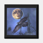 Raven Magnets Magneet (Voorkant)