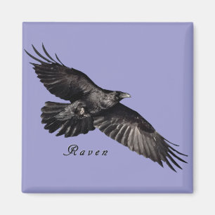 Raven Magnets Magneet