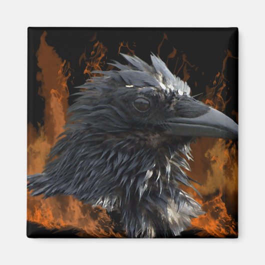 Raven Magnets Magneet (Voorkant)
