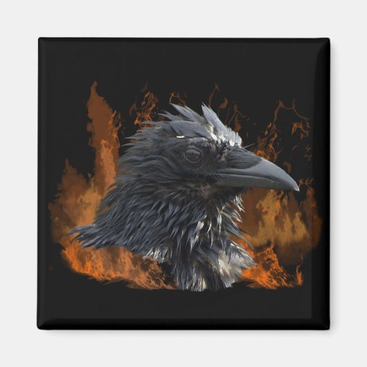 Raven Magnets Magneet (Voorkant)