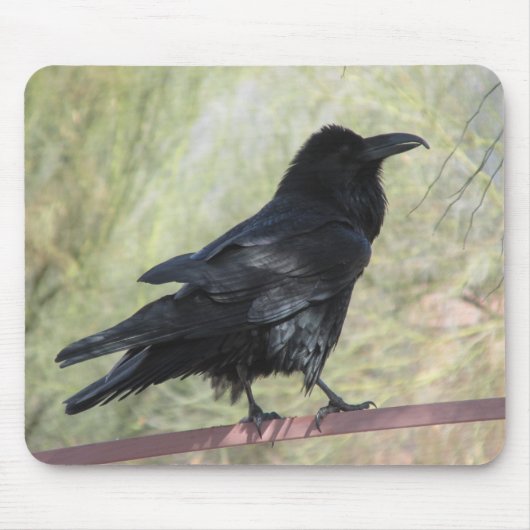 Raven Mousepad Muismat (Voorkant)