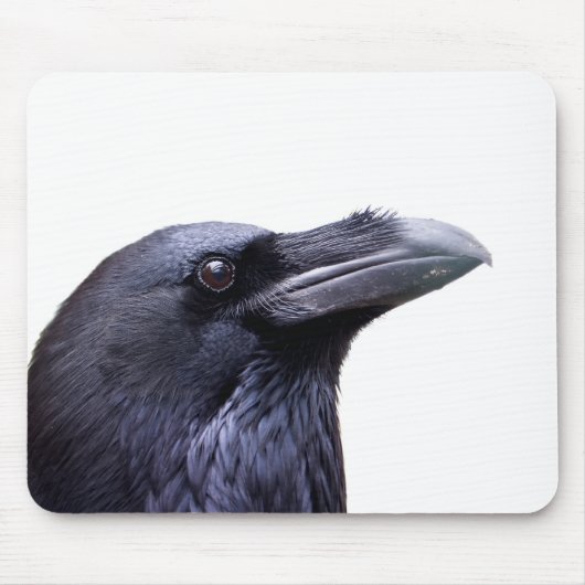Raven Muismat (Voorkant)