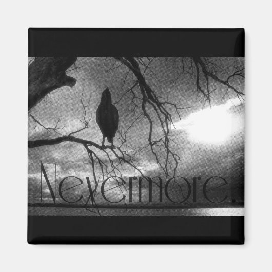 Raven - Nevermore Sunbeams & Tree B&W Magneet (Voorkant)
