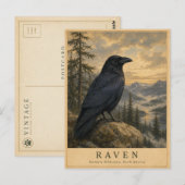 Raven Northern Wilderness VINTAGE Briefkaart (Voorkant / Achterkant)