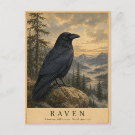 Raven Northern Wilderness VINTAGE Briefkaart
