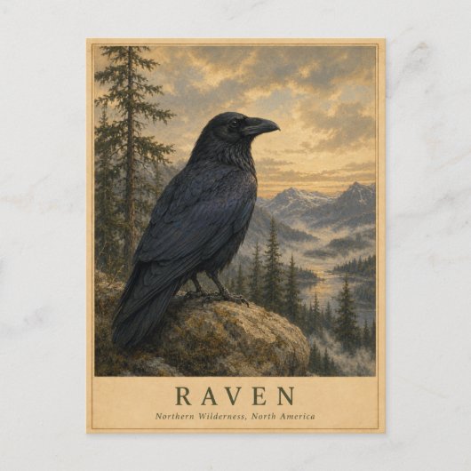 Raven Northern Wilderness VINTAGE Briefkaart (Voorkant)