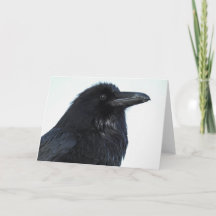 Raven Notecard