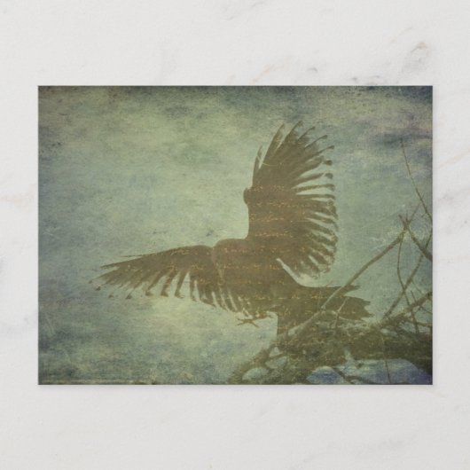 Raven of Poe's Poetry Briefkaart (Voorkant)