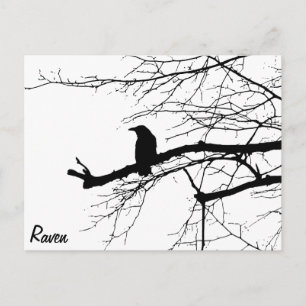 Raven op de boom briefkaart