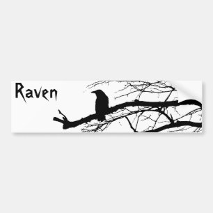 Raven op de boom bumpersticker