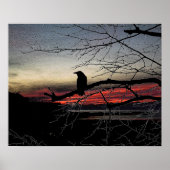 Raven op de boom op zonsondergang poster (Voorkant)