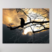 Raven op de boom poster (Voorkant)