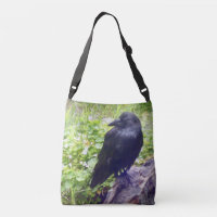 Raven op Driftwood